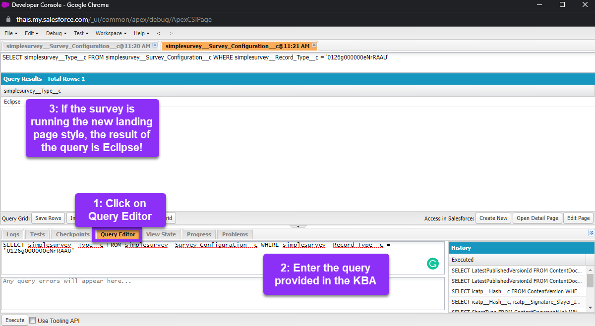 developer console2.png