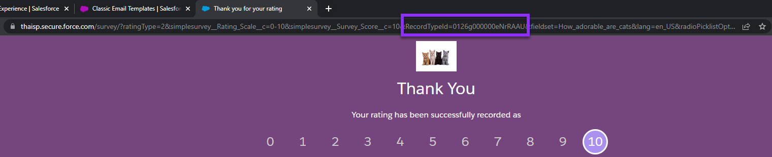 landing page record type id.png